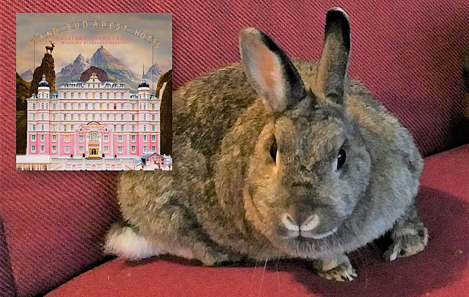 Cupcake en The Grand Budapest Hotel